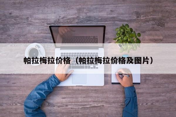 帕拉梅拉价格(帕拉梅拉价格及图片) 帕拉梅拉价格(帕拉梅拉价格及图片)