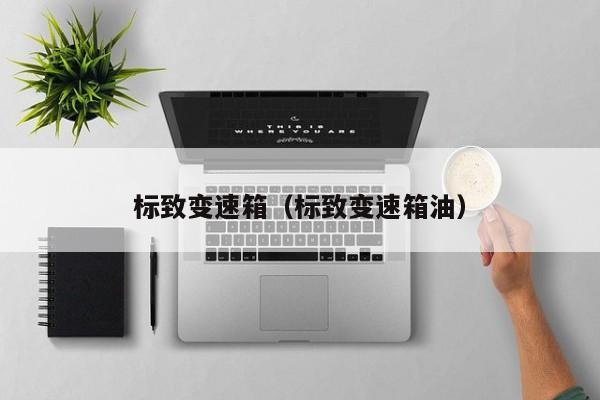 标致变速箱(标致变速箱油) 标致变速箱(标致变速箱油)