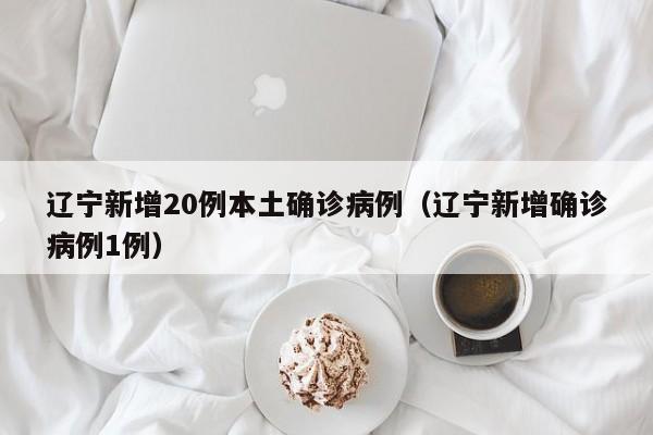 辽宁新增20例本土确诊病例(辽宁新增确诊病例1例) 辽宁新增20例本土确诊病例(辽宁新增确诊病例1例)