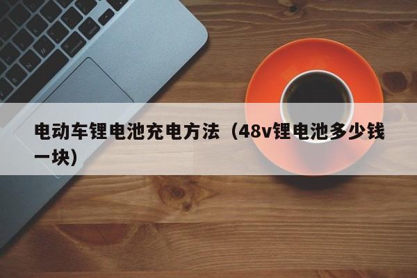 电动车锂电池充电方法(48v锂电池多少钱一块)