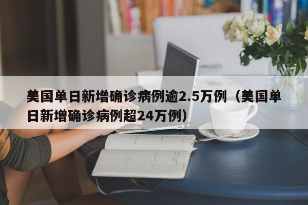 美国单日新增确诊病例逾2.5万例(美国单日新增确诊病例超24万例)