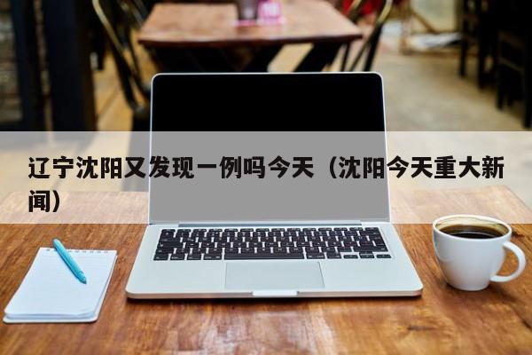 辽宁沈阳又发现一例吗今天(沈阳今天重大新闻)