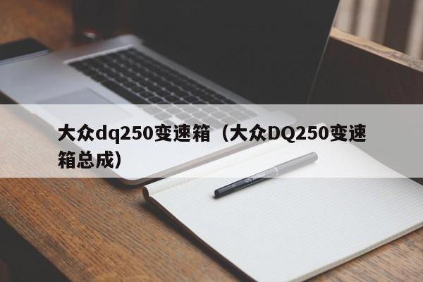 大众dq250变速箱(大众DQ250变速箱总成)