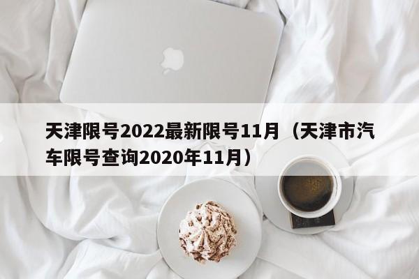 天津限号2022最新限号11月(天津市汽车限号查询2020年11月)