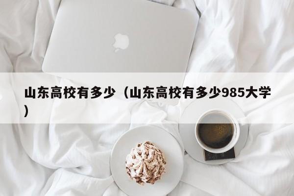 山东高校有多少(山东高校有多少985大学)