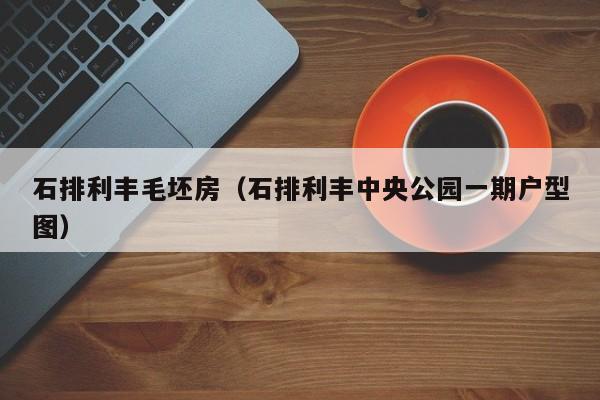 石排利丰毛坯房(石排利丰中央公园一期户型图)