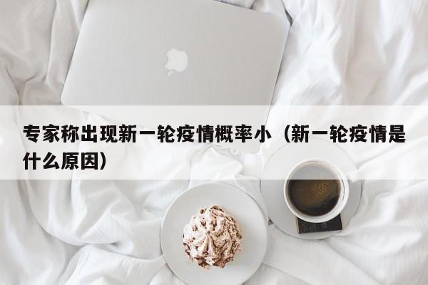专家称出现新一轮疫情概率小(新一轮疫情是什么原因)