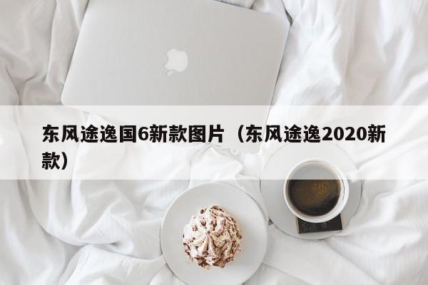 东风途逸国6新款图片(东风途逸2020新款)