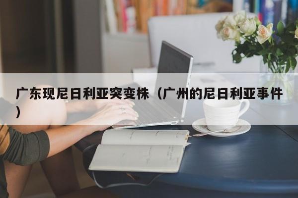 广东现尼日利亚突变株(广州的尼日利亚事件)